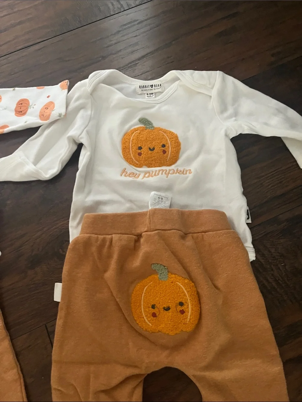 Bundle of 2 Rabbit and Bear Organic Fall outfits